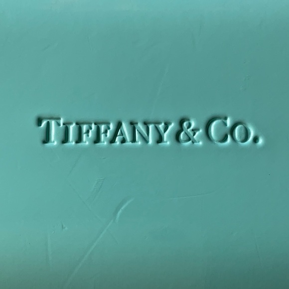 ? TIFFANY & CO. SUNGLASS CASE & POUCH & CLOTH ?